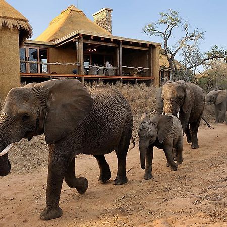 Villa Jabulani Safari Kapama Game Reserve Exterior foto